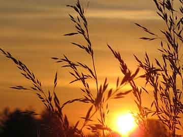 偃师买打胎药可以报销吗现在的简单介绍